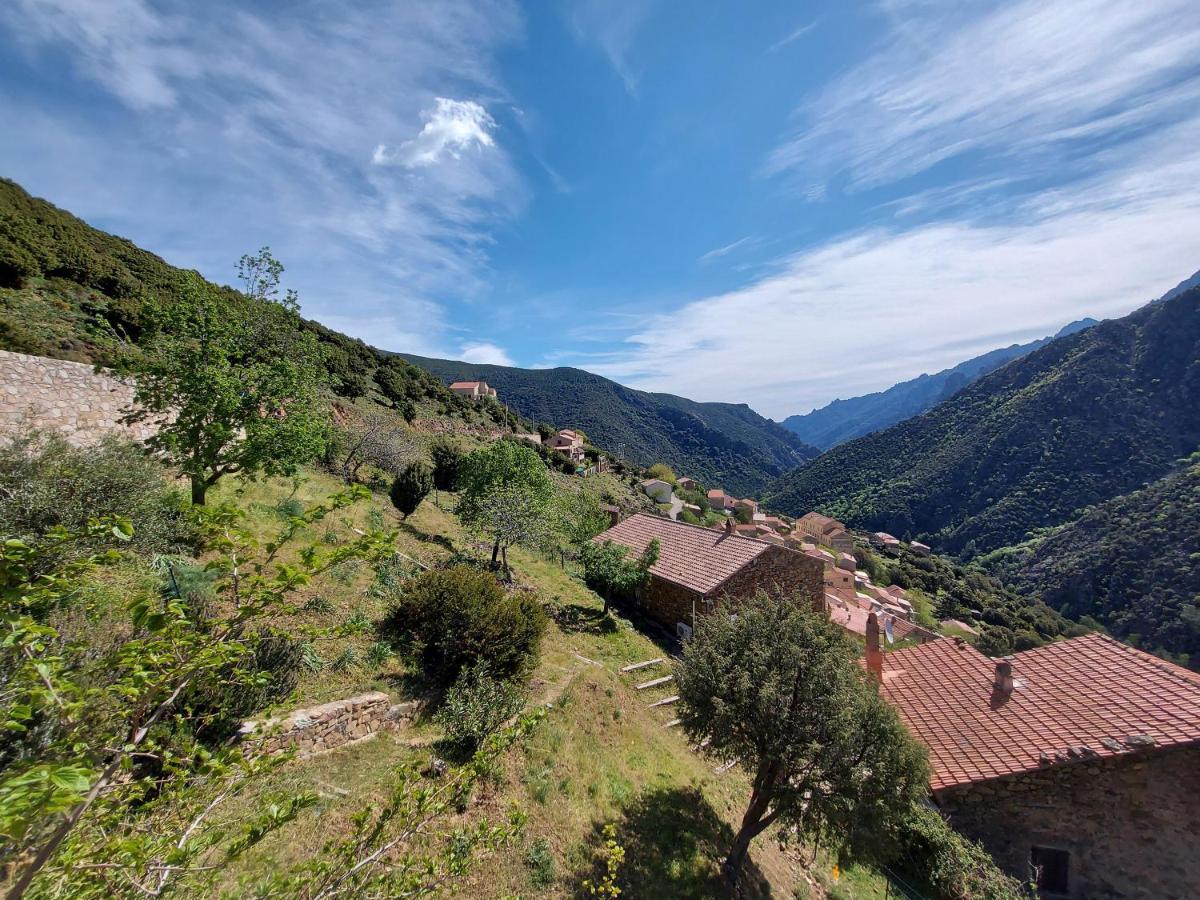 Résidence E Cime
