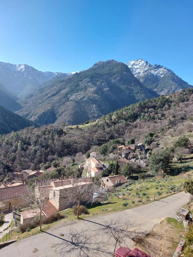 Bed & Breakfast Résidence E Cime