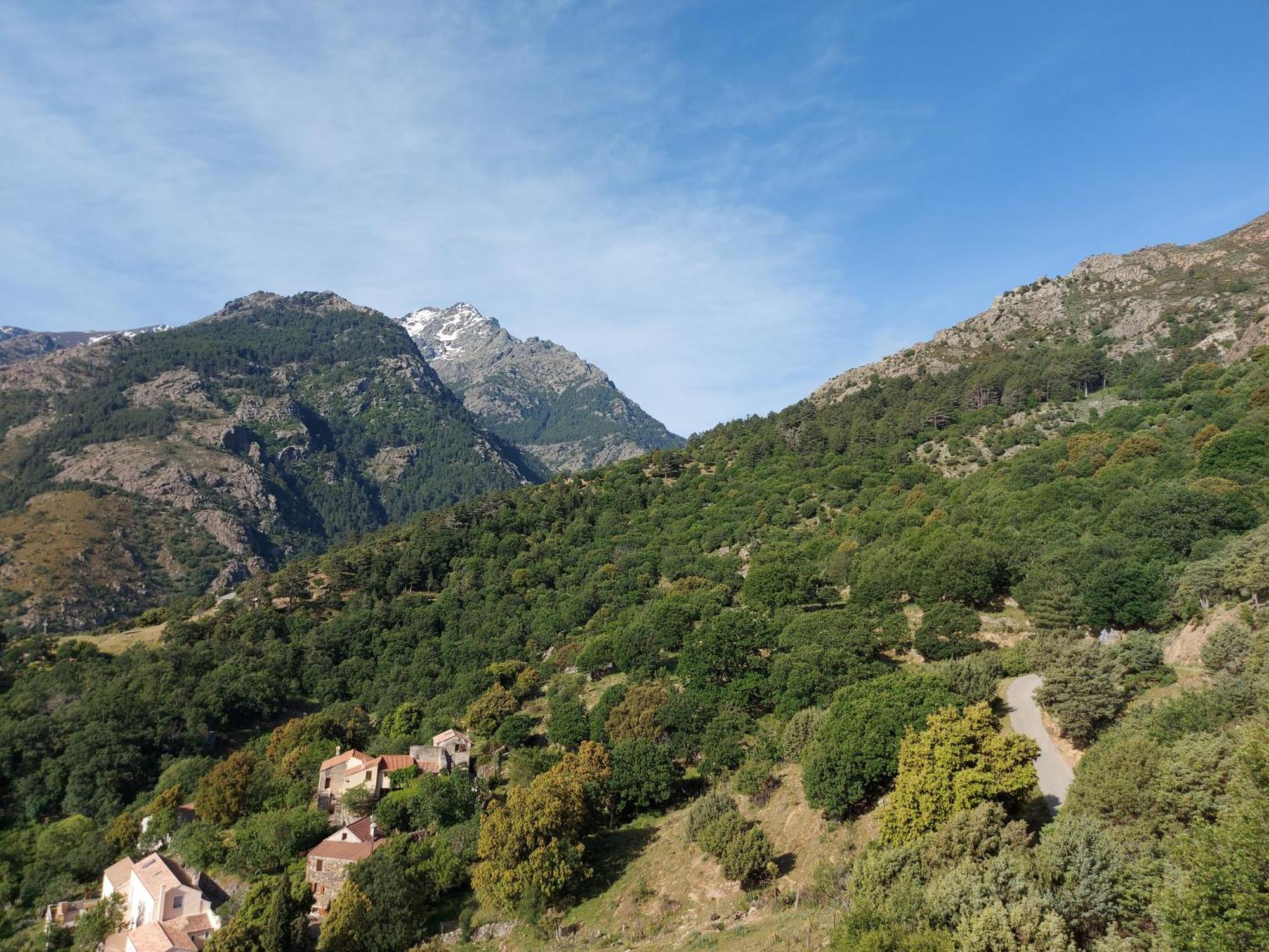 Résidence E Cime